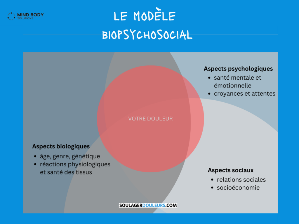La douleur est modulée par, au moins, ces 3 facteurs :
+ biologiques : âge, genre, génétique, réactions physiologiques, santé des tissus
+ psychologiques : émotions, mental, croyances et attentes
+ sociologiques : relations interpersonnelles, soutien social, statut socioéconomique