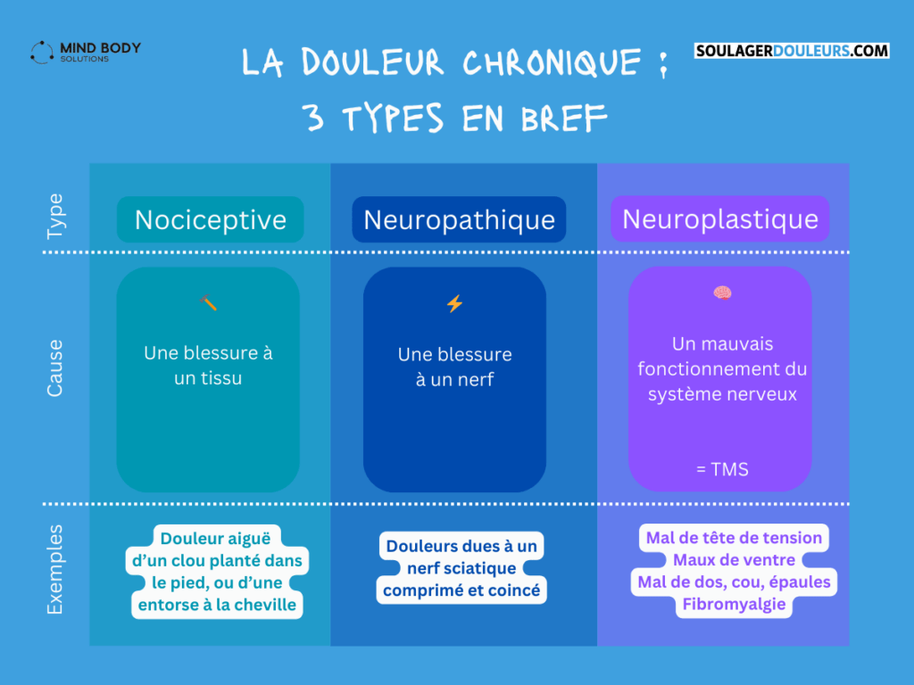 3 types de douleur chronique en bref :
Nociceptives : causées par une blessure à un tissu.
Neuropathiques : causées par une blessure à un nerf.
Neuroplastiques ou nociplastiques : causées par un mauvais fonctionnement du système nerveux. Il s'agit de la nomination médicale du TMS.