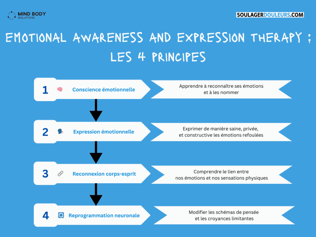 Schéma illustrant les quatre principes fondamentaux de l'EAET, représentés par des emojis et connectés par des flèches descendantes. Le processus commence par la conscience émotionnelle (emoji cerveau), suivie de l'expression émotionnelle (emoji visage parlant), puis la reconnexion corps-esprit (emoji chaîne), et se termine par la reprogrammation neuronale (emoji flèches circulaires). Ce schéma montre la progression logique des étapes de la thérapie EAET